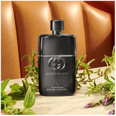 gucci guilty for men pour homm|gucci guilty pour homme fragrantica.